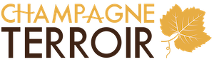 Champagne Terroir